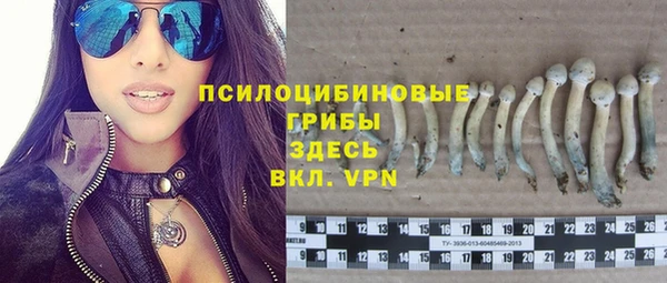 mix Белокуриха