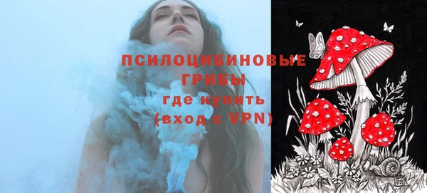 mix Белокуриха