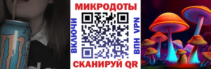 Псилоцибиновые грибы прущие грибы  Минеральные Воды 
