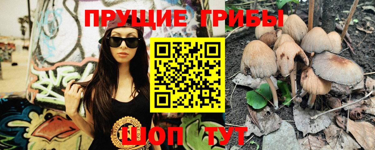Псилоцибиновые грибы Psilocybe Минеральные Воды