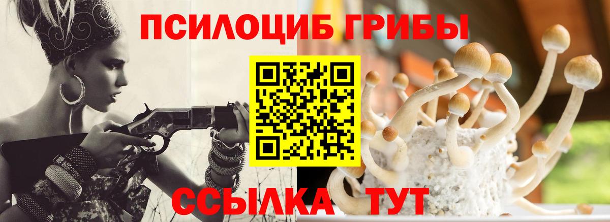 Минеральные Воды  Галлюциногенные грибы Magic Shrooms  Вход с VPN 